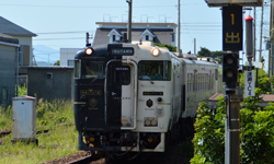 ゲストハウス＆ホテルRA鹿児島 鹿児島を楽しむ