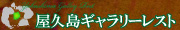 祮꡼쥹
