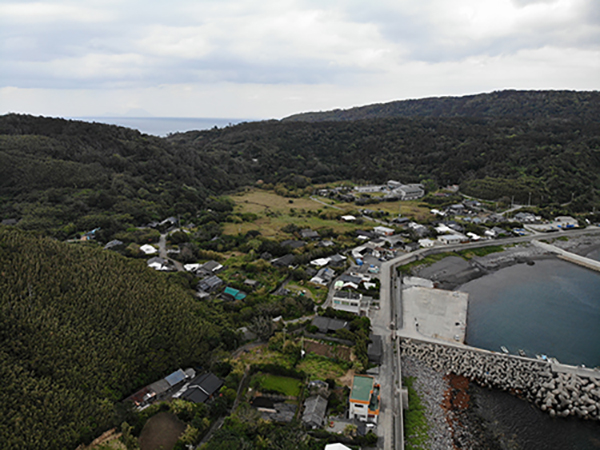 口永良部体験ツアー 自然の恵みを楽しむ！