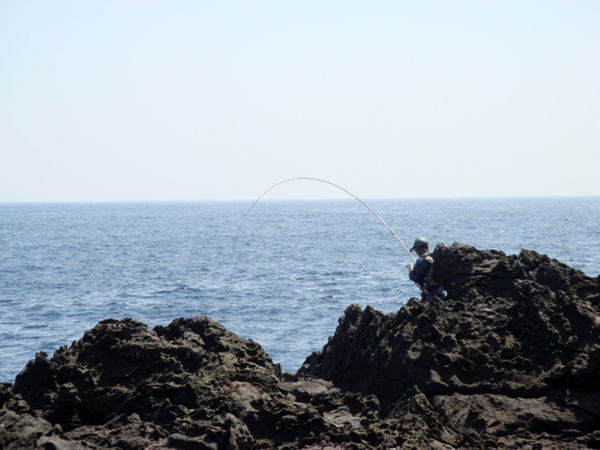 口永良部体験ツアー 島で気ままな磯釣り体験