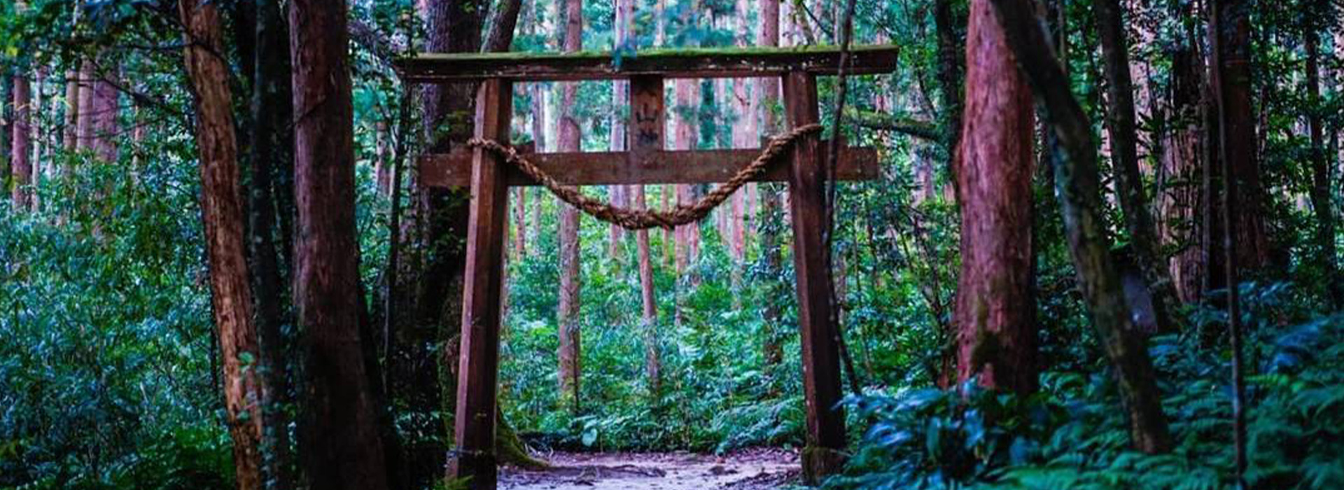 屋久島祭 聯合國教科文組織生態公園
